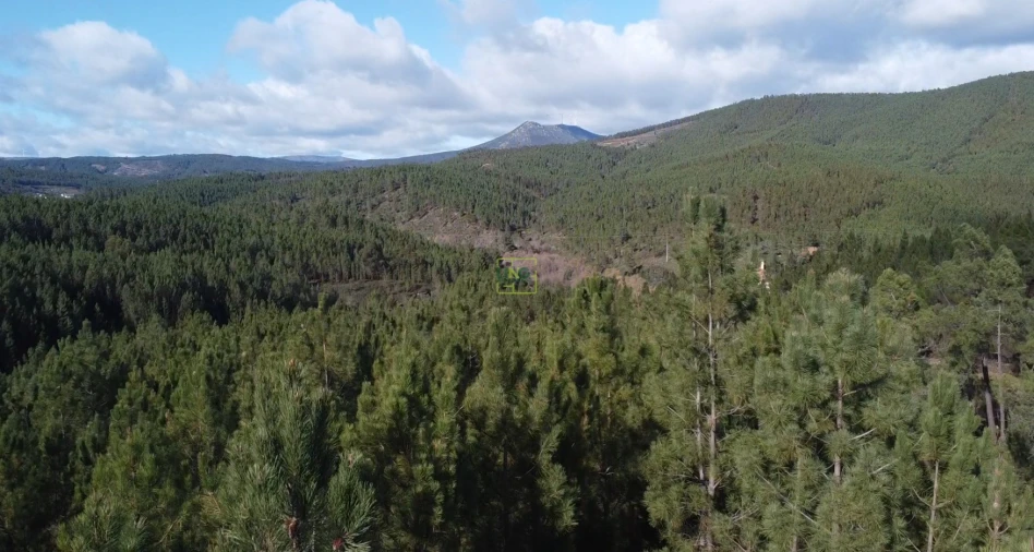 Quinta T0 para Venda em Sarzedas Foto 20