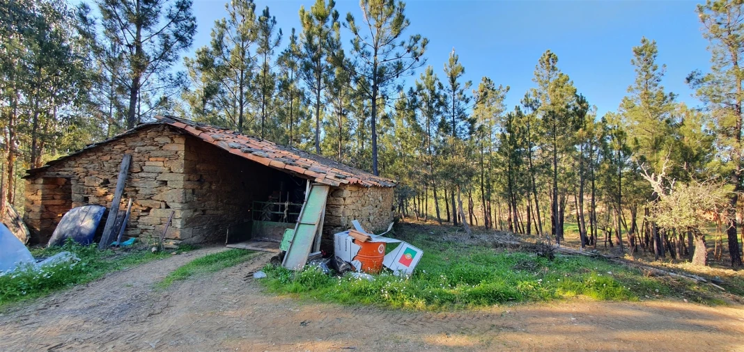 Quinta T0 para Venda em Sarzedas Foto 2