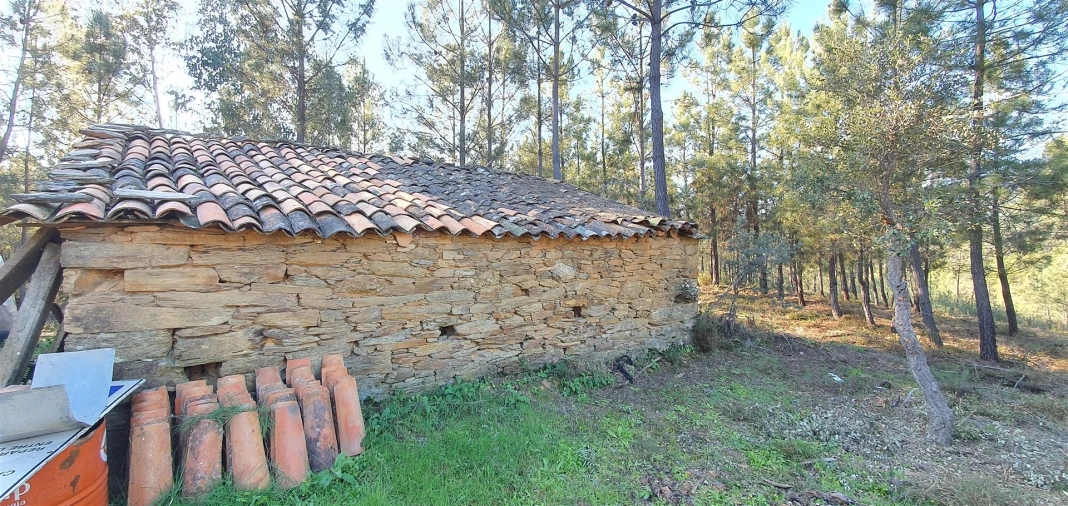 Quinta T0 para Venda em Sarzedas Foto 5