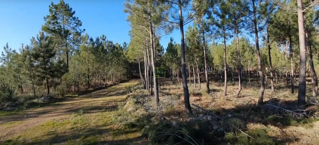 Quinta T0 para Venda em Sarzedas Foto 15