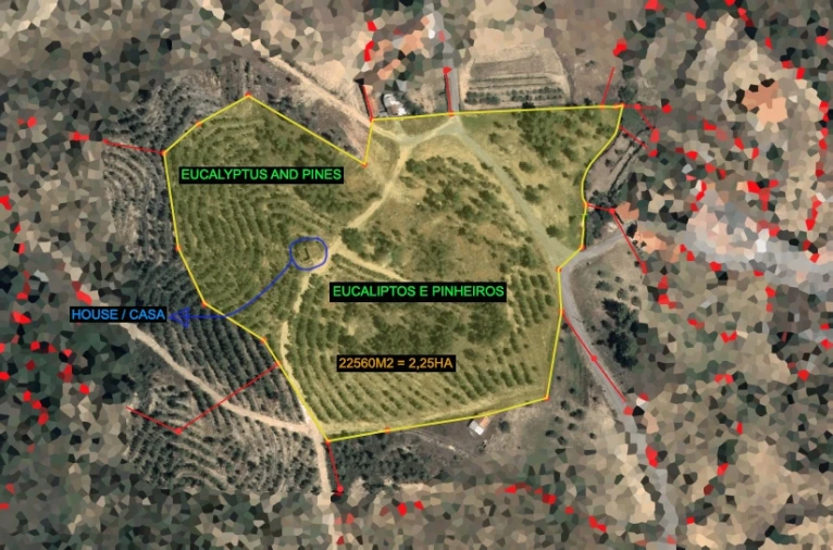 Quinta T0 para Venda em Sarzedas Planta 1