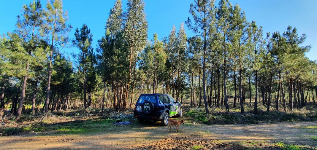 Quinta T0 para Venda em Sarzedas Foto 13