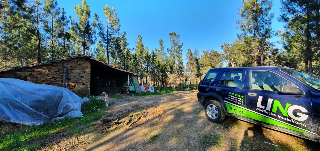 Quinta T0 para Venda em Sarzedas Foto 10