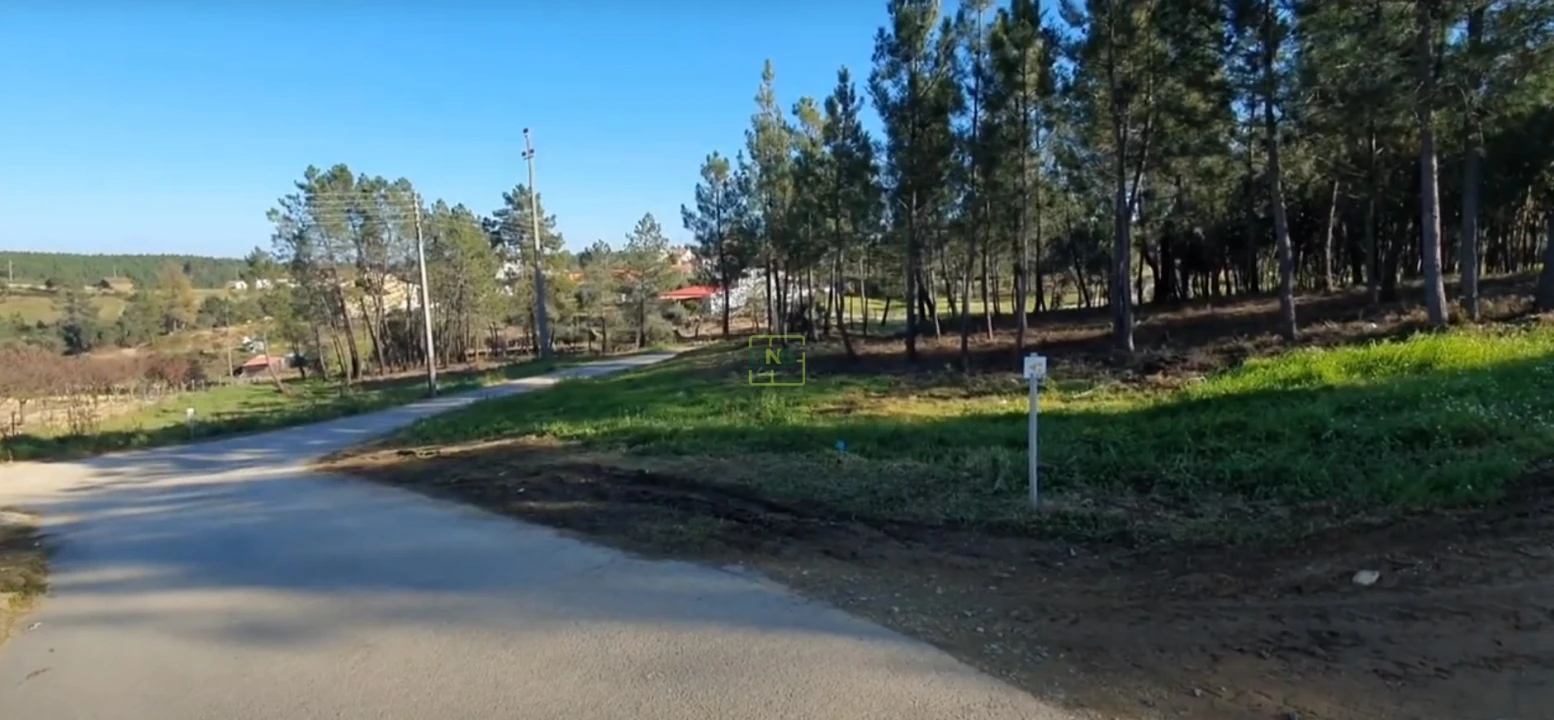 Quinta T0 para Venda em Sarzedas Foto 14