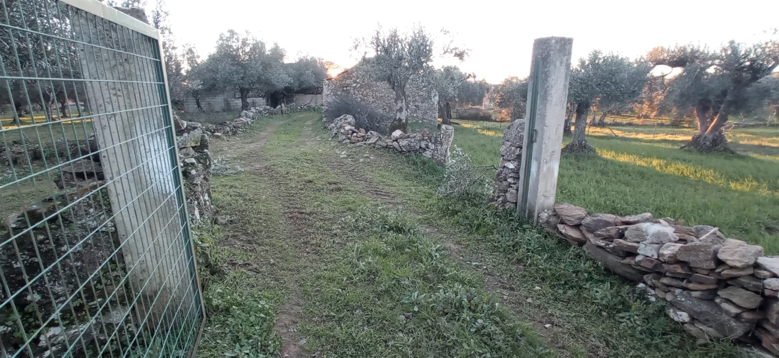 Terreno Agricola ou Rústico para Venda em Aranhas Foto 11
