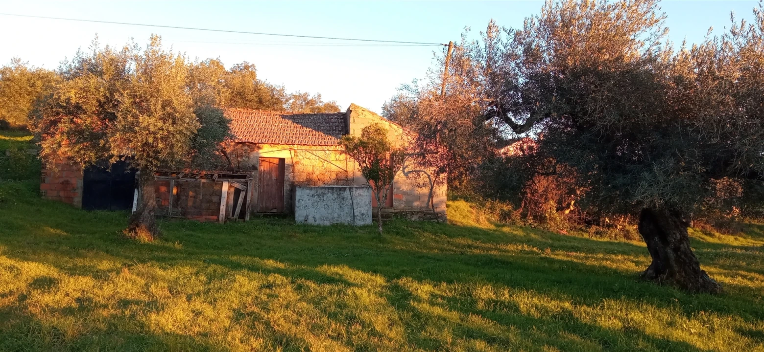 Terreno Agricola ou Rústico para Venda em Aranhas Foto 2