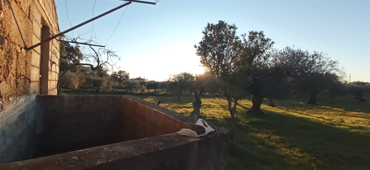 Terreno Agricola ou Rústico para Venda em Aranhas Foto 6