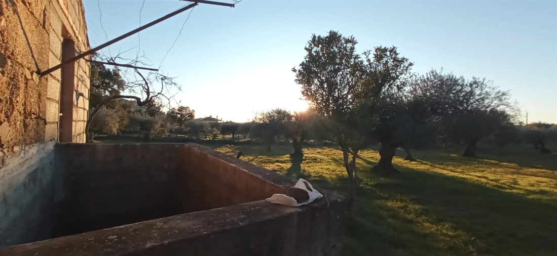 Terreno Agricola ou Rústico para Venda em Aranhas Foto 6