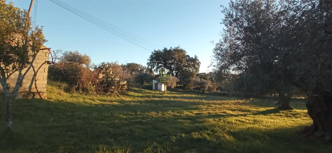 Terreno Agricola ou Rústico para Venda em Aranhas Foto 13