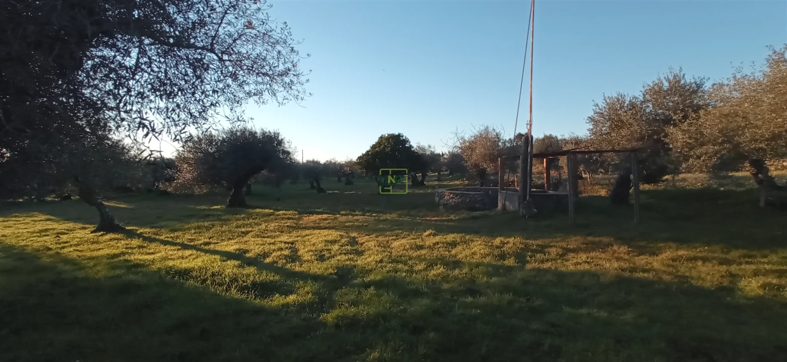 Terreno Agricola ou Rústico para Venda em Aranhas Foto 14