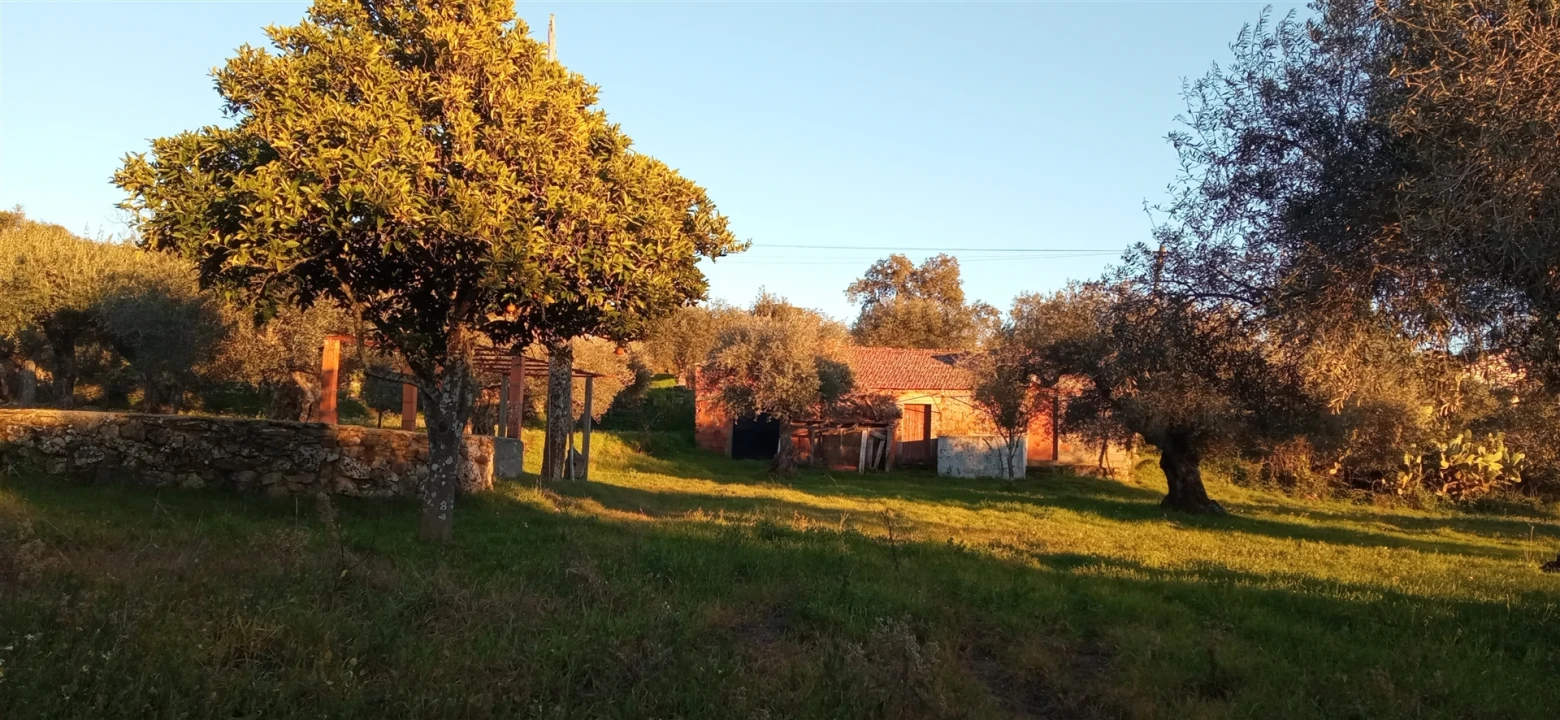 Terreno Agricola ou Rústico para Venda em Aranhas Foto 1