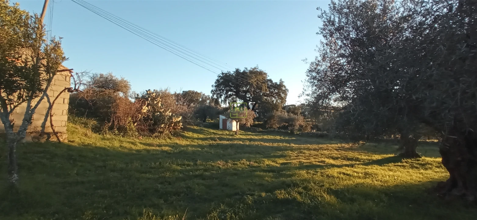 Terreno Agricola ou Rústico para Venda em Aranhas Foto 13