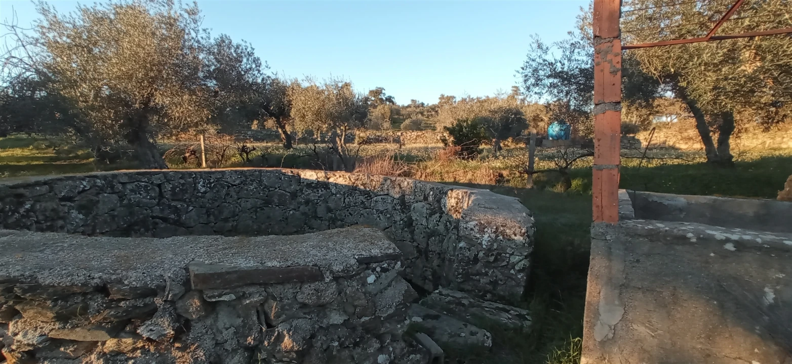 Terreno Agricola ou Rústico para Venda em Aranhas Foto 5