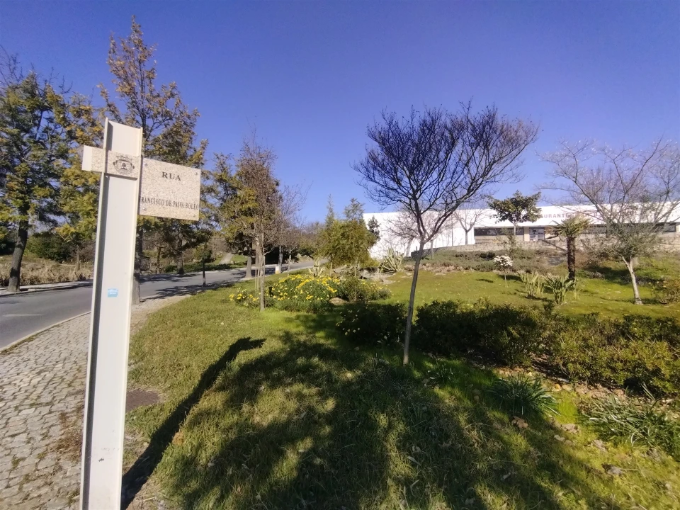 Negócio para Venda em Idanha-A-Nova e Alcafozes Foto 54