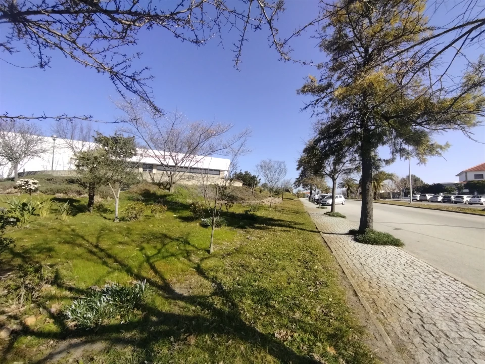 Negócio para Venda em Idanha-A-Nova e Alcafozes Foto 53