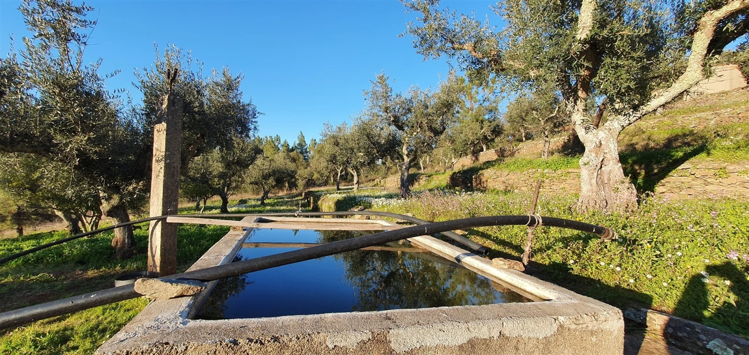 Quinta T0 para Venda em Freixial e Juncal do Campo Foto 8