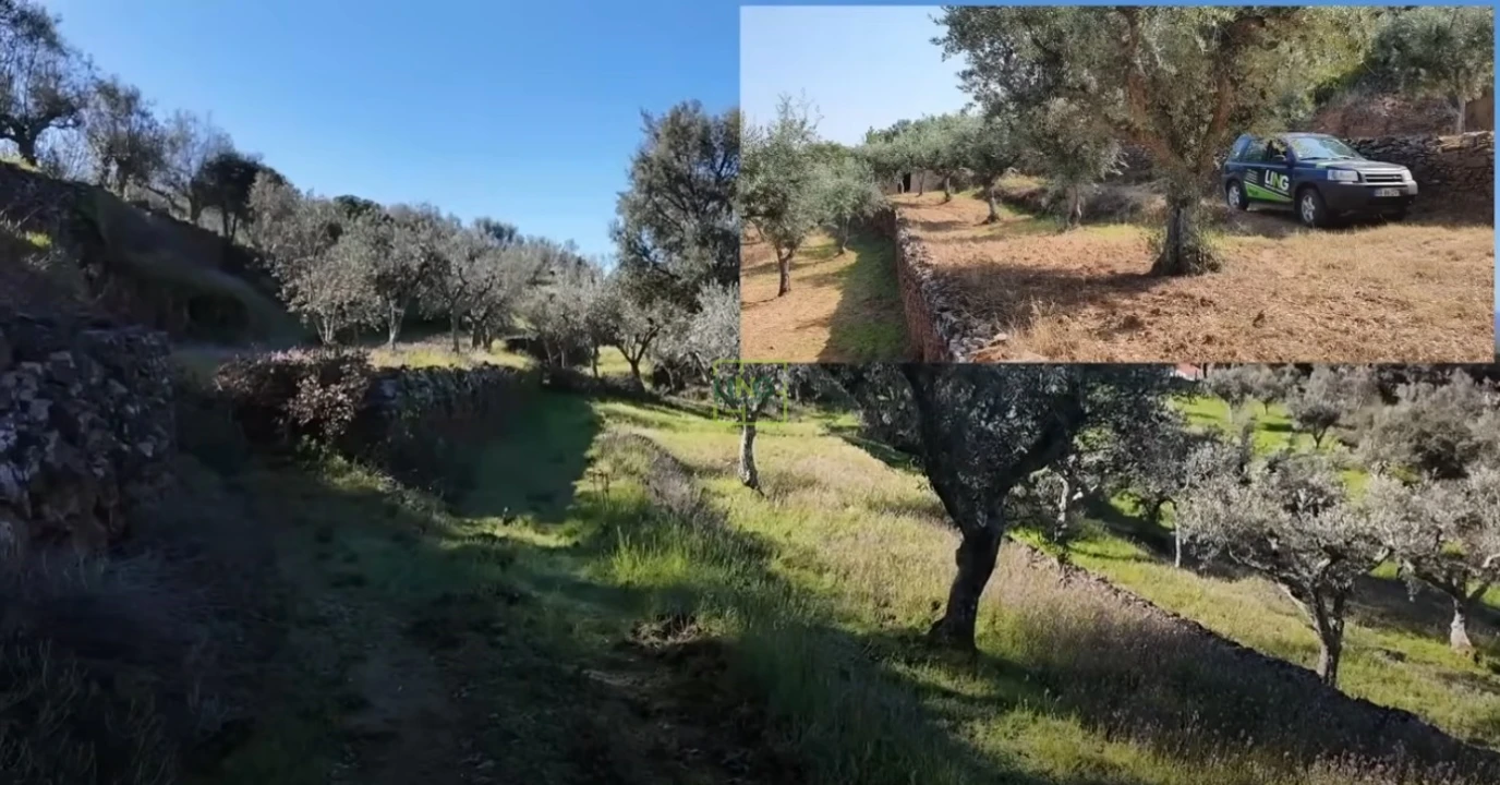 Quinta T0 para Venda em Freixial e Juncal do Campo Foto 21