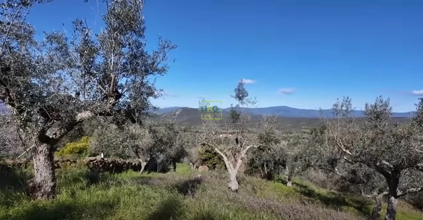 Quinta T0 para Venda em Freixial e Juncal do Campo Foto 20