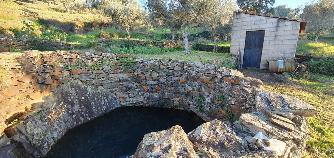 Quinta T0 para Venda em Freixial e Juncal do Campo Foto 5