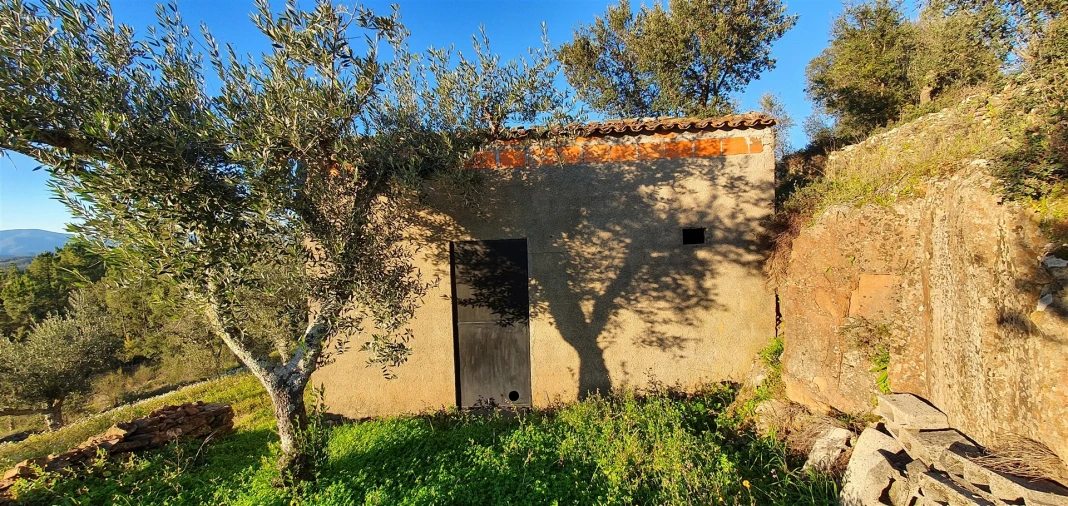 Quinta T0 para Venda em Freixial e Juncal do Campo Foto 24