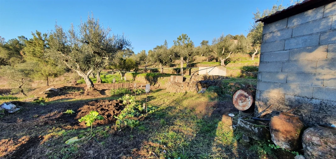 Quinta T0 para Venda em Freixial e Juncal do Campo Foto 3