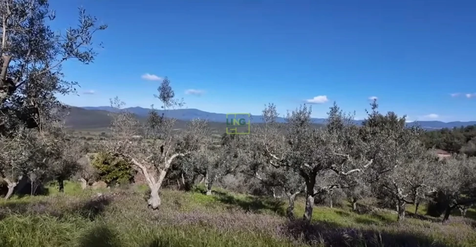 Quinta T0 para Venda em Freixial e Juncal do Campo Foto 26