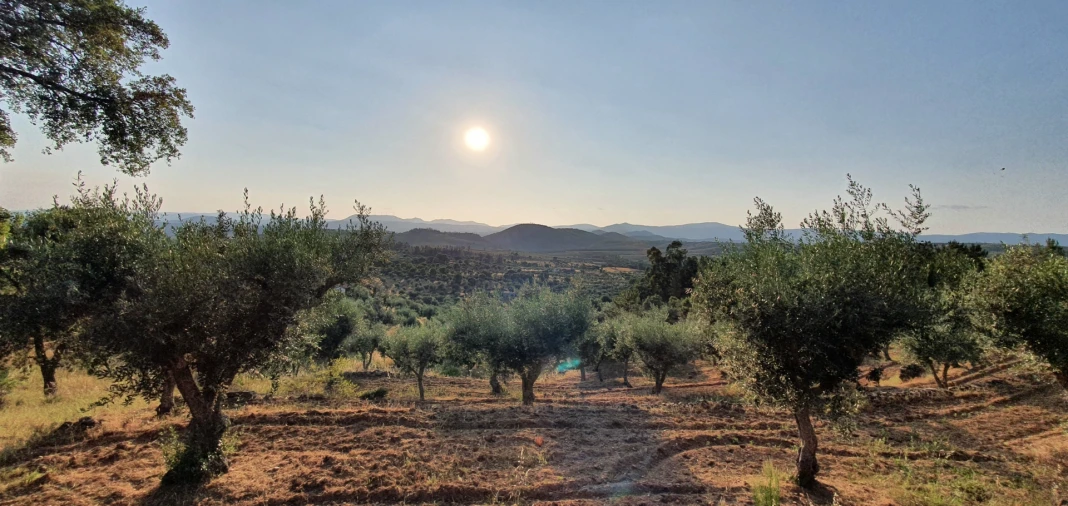 Quinta T0 para Venda em Freixial e Juncal do Campo Foto 23