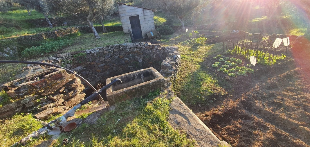 Quinta T0 para Venda em Freixial e Juncal do Campo Foto 7