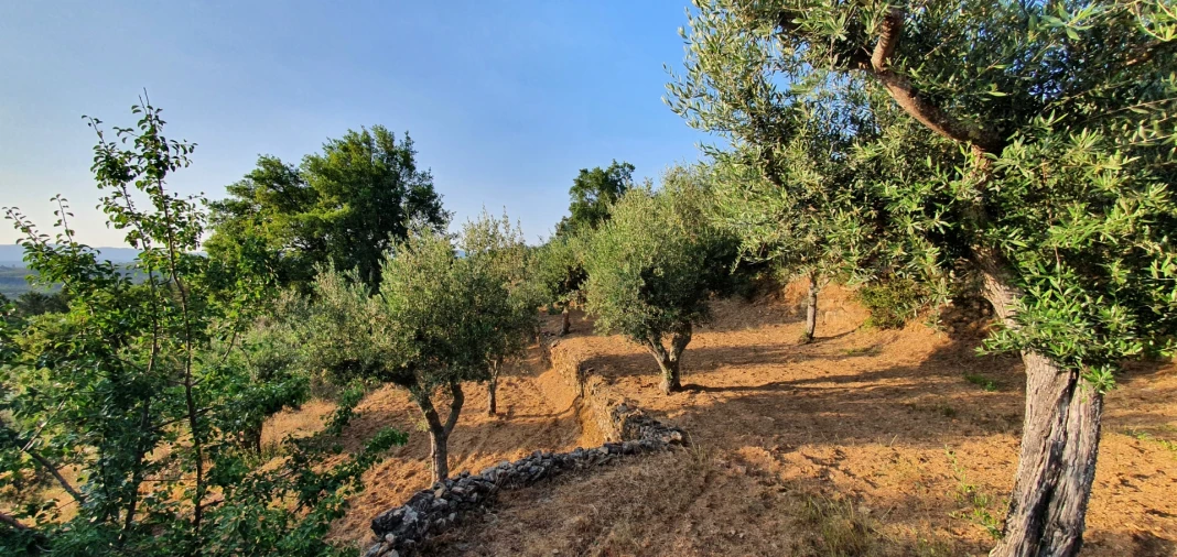 Quinta T0 para Venda em Freixial e Juncal do Campo Foto 18