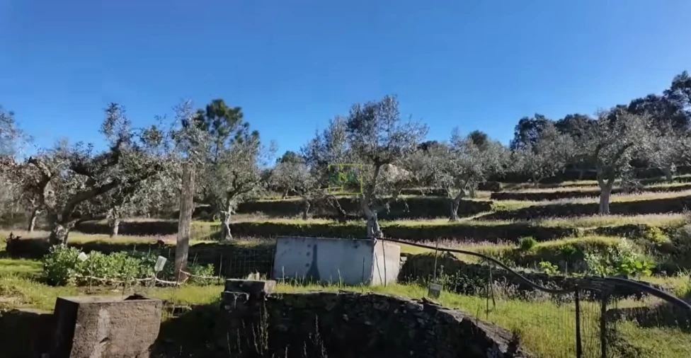 Quinta T0 para Venda em Freixial e Juncal do Campo Foto 13