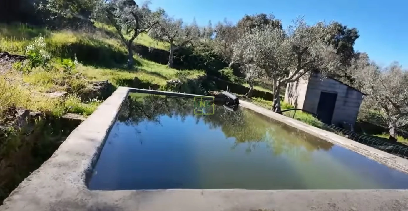 Quinta T0 para Venda em Freixial e Juncal do Campo Foto 9