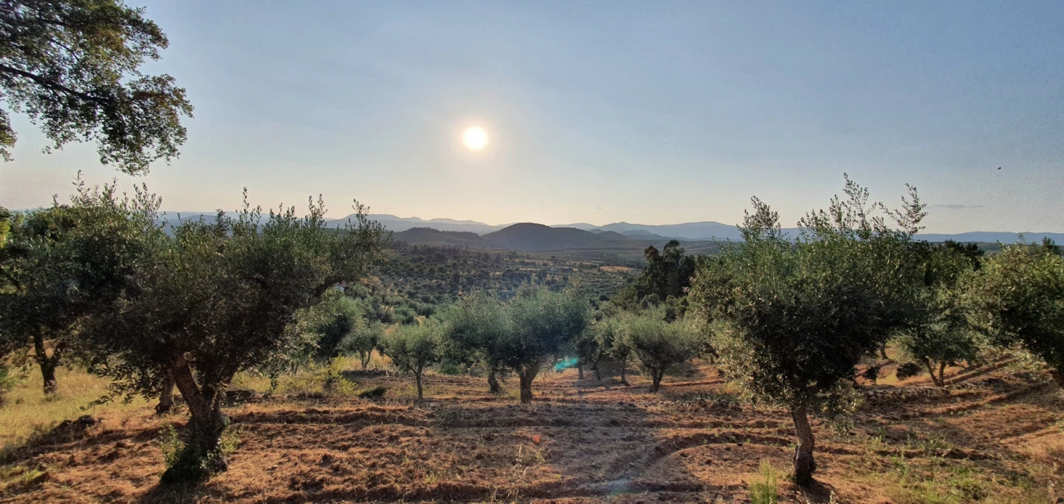 Quinta T0 para Venda em Freixial e Juncal do Campo Foto 23