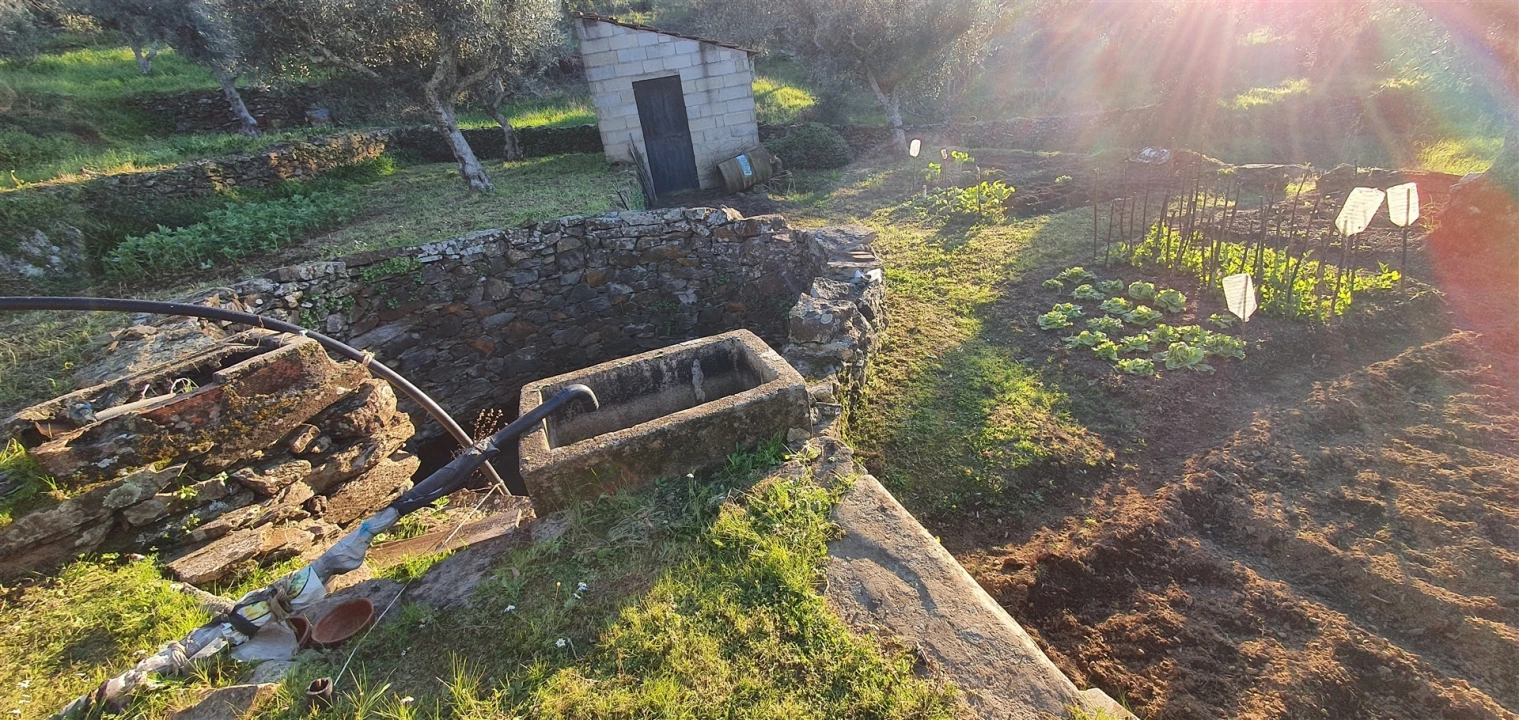 Quinta T0 para Venda em Freixial e Juncal do Campo Foto 7