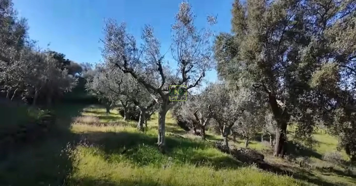 Quinta T0 para Venda em Freixial e Juncal do Campo Foto 22