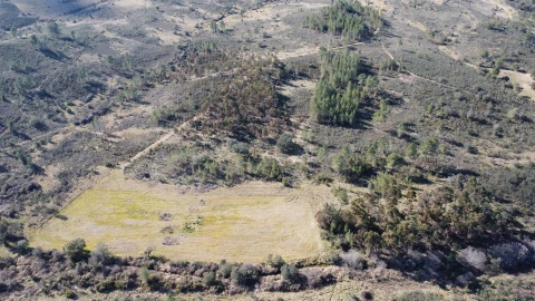 Terreno Agricola ou Rústico para Venda em Sarzedas