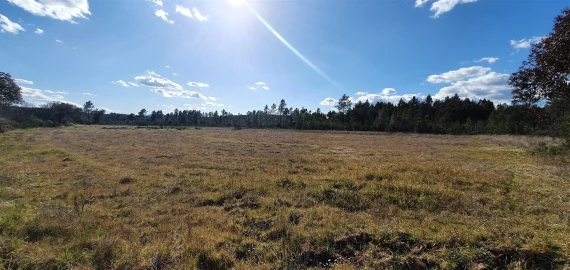 Terreno Agricola ou Rústico para Venda em Sarzedas