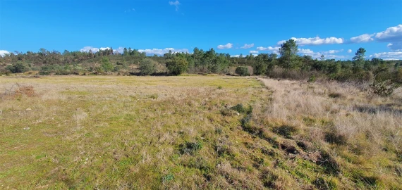 Terreno Agricola ou Rústico para Venda em Sarzedas