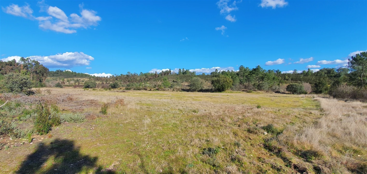 Terreno Agricola ou Rústico para Venda em Sarzedas Foto 11