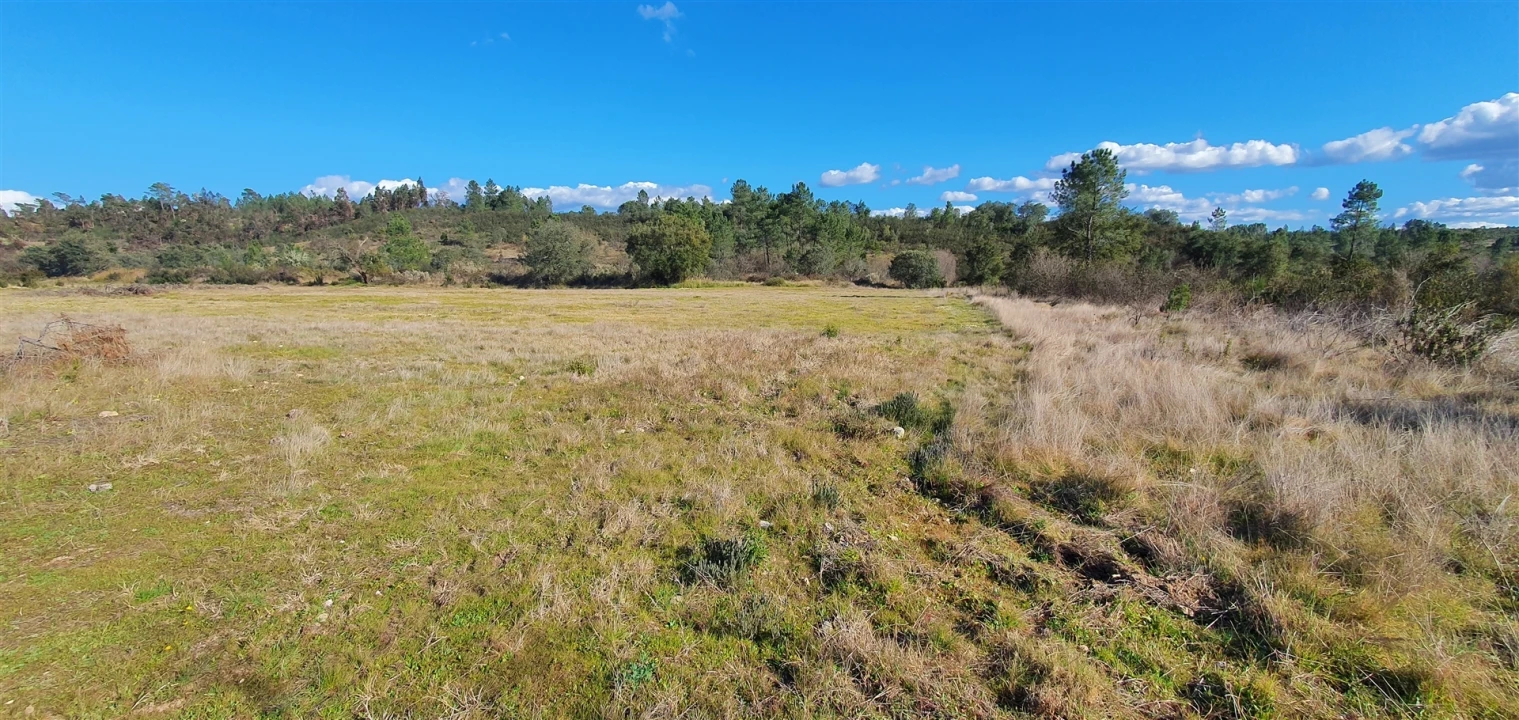 Terreno Agricola ou Rústico para Venda em Sarzedas Foto 12