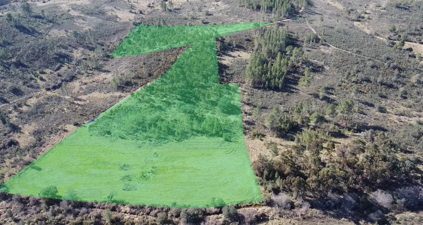 Terreno Agricola ou Rústico para Venda em Sarzedas Foto 17