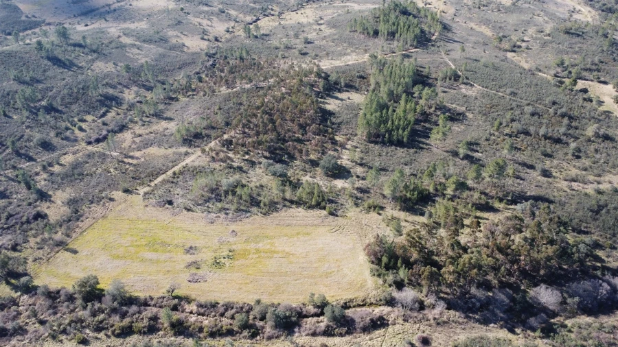 Terreno Agricola ou Rústico para Venda em Sarzedas Foto 16