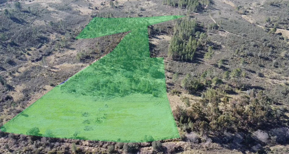 Terreno Agricola ou Rústico para Venda em Sarzedas Foto 17