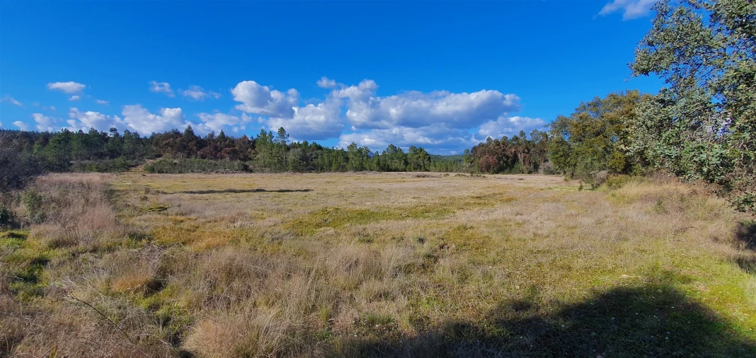 Terreno Agricola ou Rústico para Venda em Sarzedas Foto 14