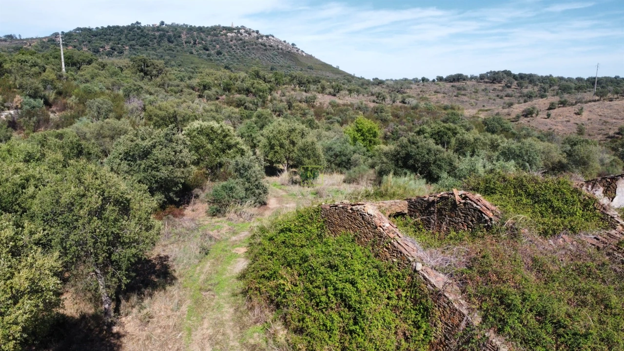Quinta T0 para Venda em Castelo Branco Foto 15