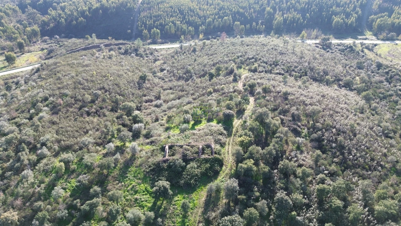 Quinta T0 para Venda em Castelo Branco Foto 20
