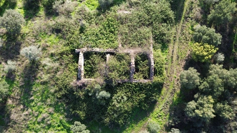 Quinta T0 para Venda em Castelo Branco