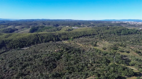 Quinta T0 para Venda em Castelo Branco