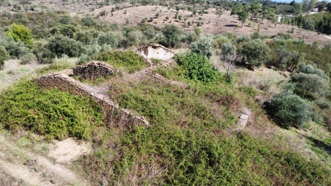 Quinta T0 para Venda em Castelo Branco