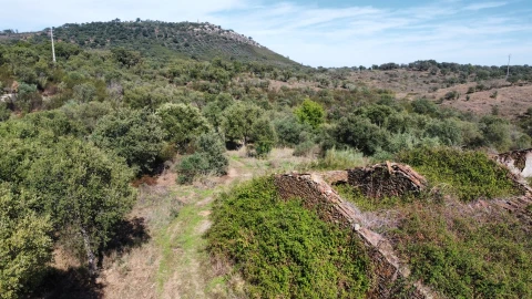Quinta T0 para Venda em Castelo Branco