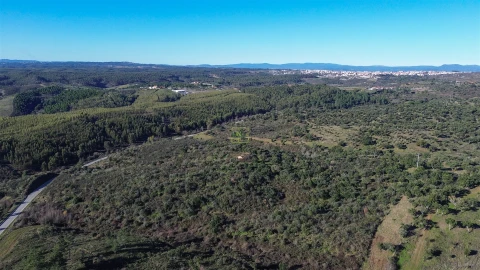 Quinta T0 para Venda em Castelo Branco